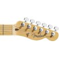 Fender Telebration Empress Telecaster VW Thumbnail 4