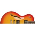 Duesenberg Starplayer TV Rebound Tailpiece Thumbnail 3