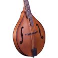 Furch MA-20 SM Mandoline Thumbnail 3