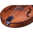 Furch MA-20 SM Mandoline Thumbnail 4