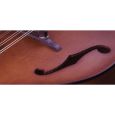 Furch MA-20 SM Mandoline Thumbnail 6