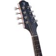 Furch MA-20 SM Mandoline Thumbnail 9