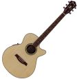 Ibanez 60 AEG NT Limited Edition Westerngitarre Thumbnail 1