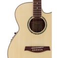 Ibanez 60 AEG NT Limited Edition Westerngitarre Thumbnail 2