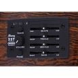 Ibanez 60 AEG NT Limited Edition Westerngitarre Thumbnail 4
