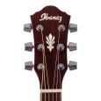 Ibanez 60 AEG NT Limited Edition Westerngitarre Thumbnail 8