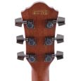 Ibanez 60 AEG NT Limited Edition Westerngitarre Thumbnail 9