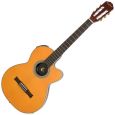 Epiphone SST Classic Nylon 1.75 Thumbnail 1