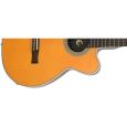 Epiphone SST Classic Nylon 1.75 Thumbnail 3
