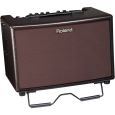 Roland AC 60 RW Thumbnail 2