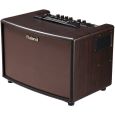Roland AC 60 RW Thumbnail 3