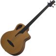 Furch B-61 CM Fretless Akustik Bass Thumbnail 1