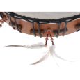 Gewa Schamanentrommel 38cm Thumbnail 3