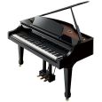 Roland RG-3F PE Thumbnail 1