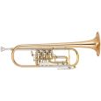Yamaha YTR-436 G Trompete Thumbnail 1