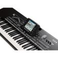 Korg PA3 X 61 International B-Ware Thumbnail 2