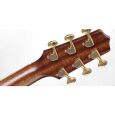 Takamine T50th Thumbnail 5