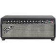 Fender Super Bassman Thumbnail 1