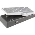 Fender EXP-1 Expression Pedal Thumbnail 1