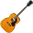 Ibanez SGE 120 ATN Westerngitarre Thumbnail 1
