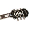 Epiphone Emperor Swingster Black Royale Thumbnail 6
