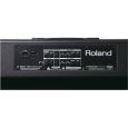 Roland GA-212 Thumbnail 4