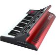 Moog Little Phatty Australian Redback Edition Thumbnail 1