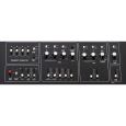 Octave Electronics THE KITTEN Analoger Synthesizer C-Ware Thumbnail 3
