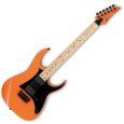 Ibanez RG331M-BOR E-Gitarre Thumbnail 1