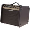 Fishman Pro-LBX-600 Loudbox Artist Thumbnail 3