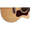 Guild F-50CE Standard B-Ware Thumbnail 2