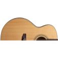 Guild F-50CE Standard B-Ware Thumbnail 3