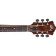 Guild F-50CE Standard B-Ware Thumbnail 4