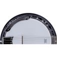 Fender Rustler 6-String Banjo Thumbnail 3