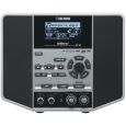 Boss JS-10 eBand Thumbnail 1