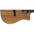 Fender CD 220 SCE All Zebrano Thumbnail 2