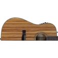Fender CD 220 SCE All Zebrano Thumbnail 3