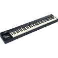 Roland A-88 MIDI Keyboard Controller Thumbnail 2