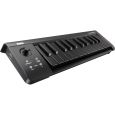 *Black*microkey*黒*ブラック*KORG*難有 Amazon | KORG(コルグ) MIDIキーボード microKEY マイクロキー