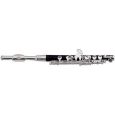 Roy Benson FL-502 Piccolo Flöte Thumbnail 1