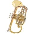 Roy Benson CR-202 Bb-Kornett Thumbnail 2