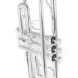 Roy Benson TR-202S Bb-Trompete versilbert Thumbnail 4