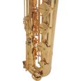 Roy Benson BS-302 Eb-Bariton-Saxophon Thumbnail 4