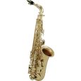 Roy Benson AS-302 Eb Altsaxophon Thumbnail 1