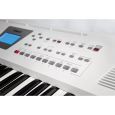 Roland BK-3-WH Backing Keyboard weiß Thumbnail 5