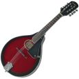 Gewa-Pure Folk-Mandoline Tenson A-1 Oval Thumbnail 1