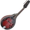 Gewa-Pure Folk-Mandoline Tenson A-1E Thumbnail 1