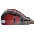 Gewa-Pure Folk-Mandoline Tenson A-1E Thumbnail 3