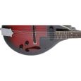 Gewa-Pure Folk-Mandoline Tenson A-1E Thumbnail 4