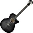 Ibanez AEG24II-TGB Westerngitarre Thumbnail 1